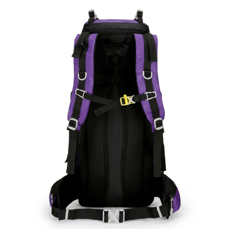 Trekkingrucksack 60L Weitwandern