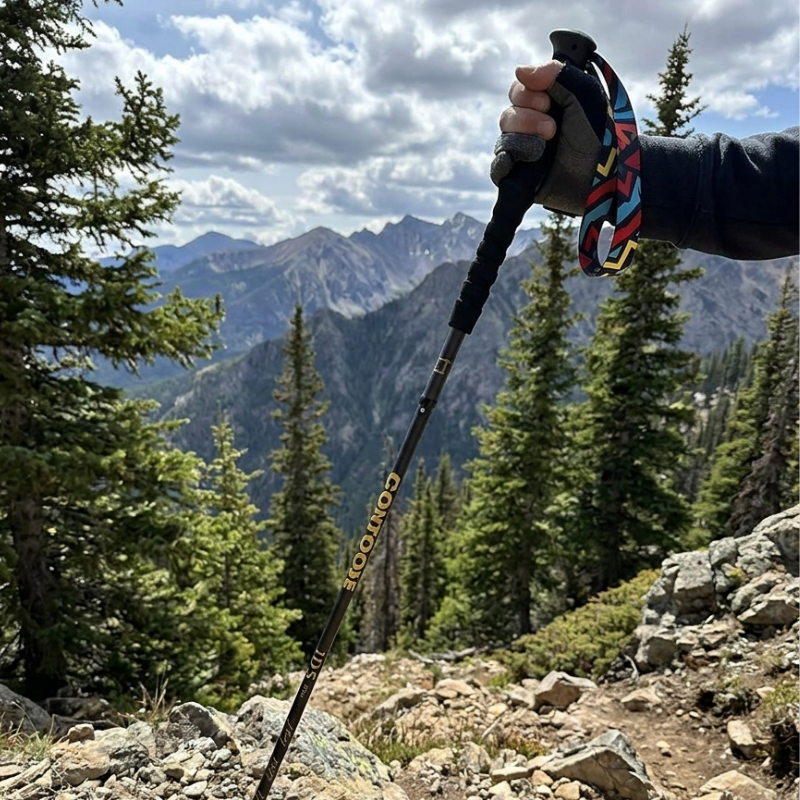 Trailrunning Stöcke Herren