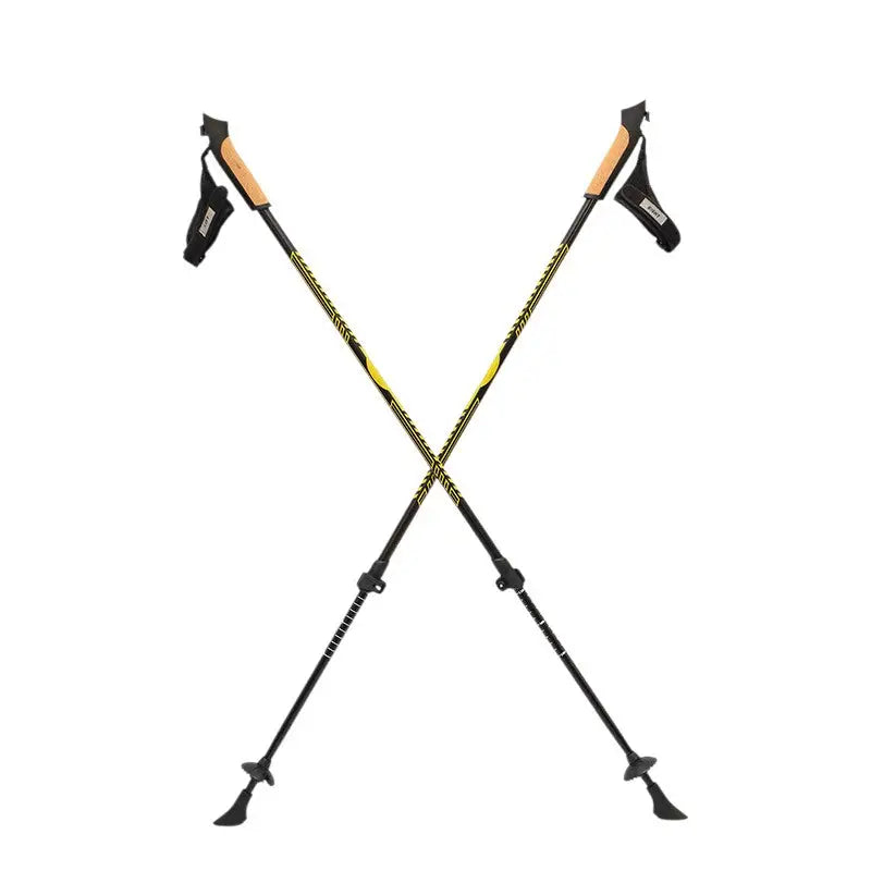 Bâton de marche nordique outdoor
