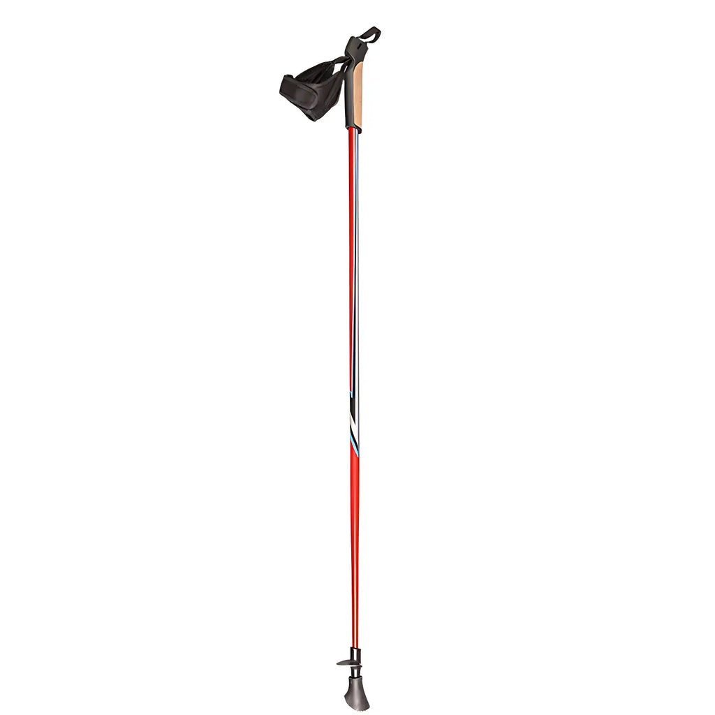 Bâton de marche nordique ski