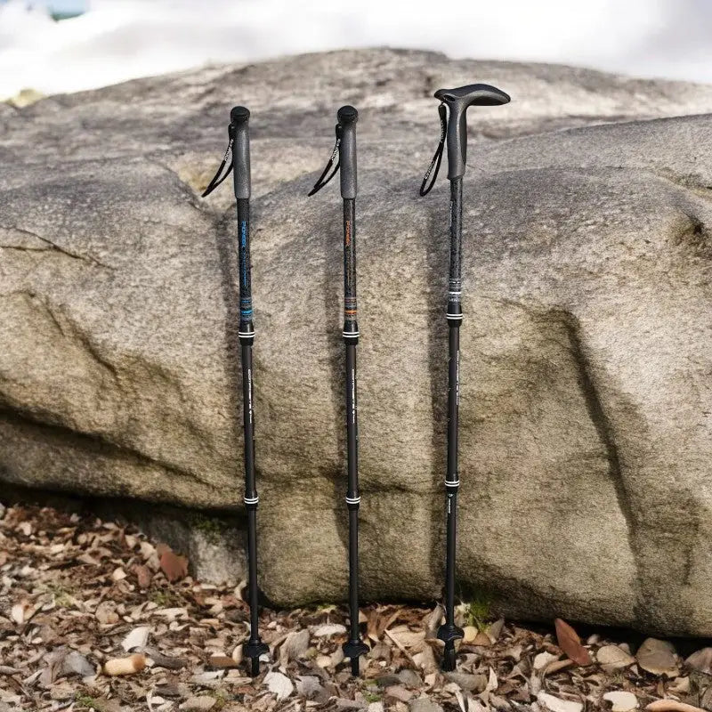 Wanderstock Carbon