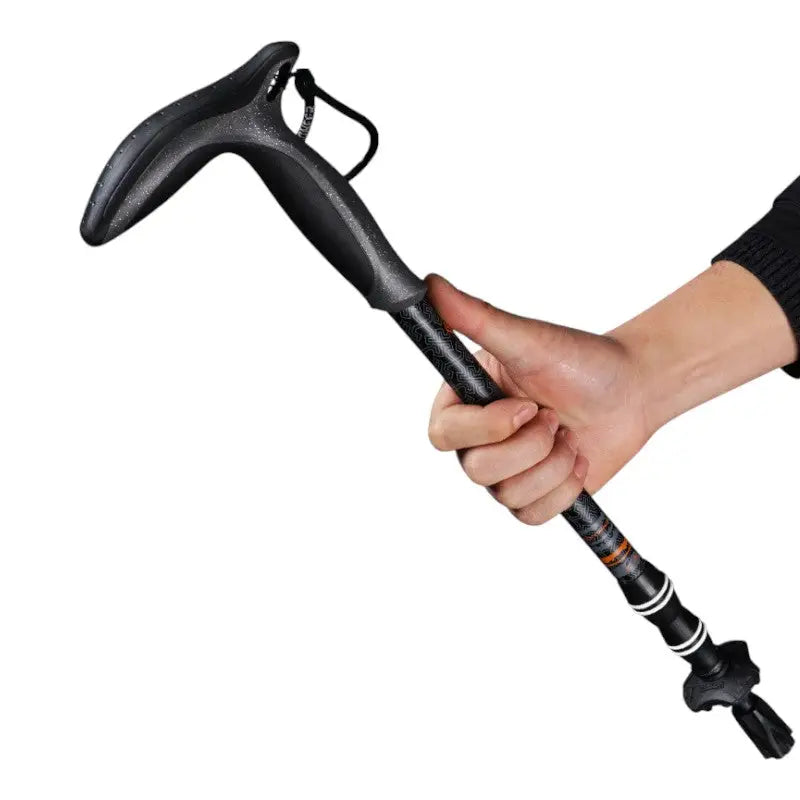 Wanderstock Carbon