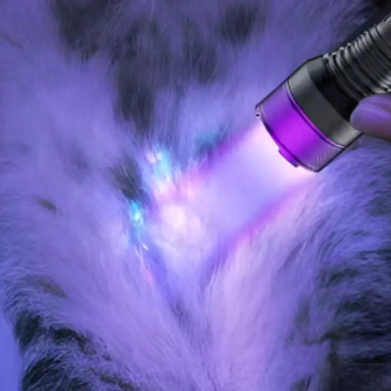 UV-LED-Taschenlampe