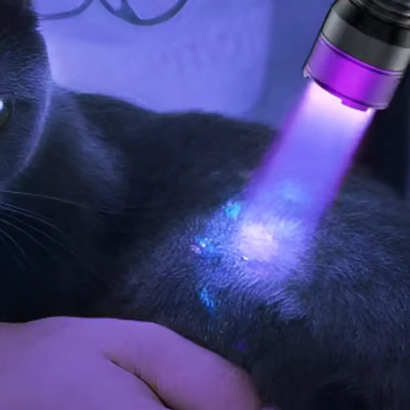 UV-LED-Taschenlampe