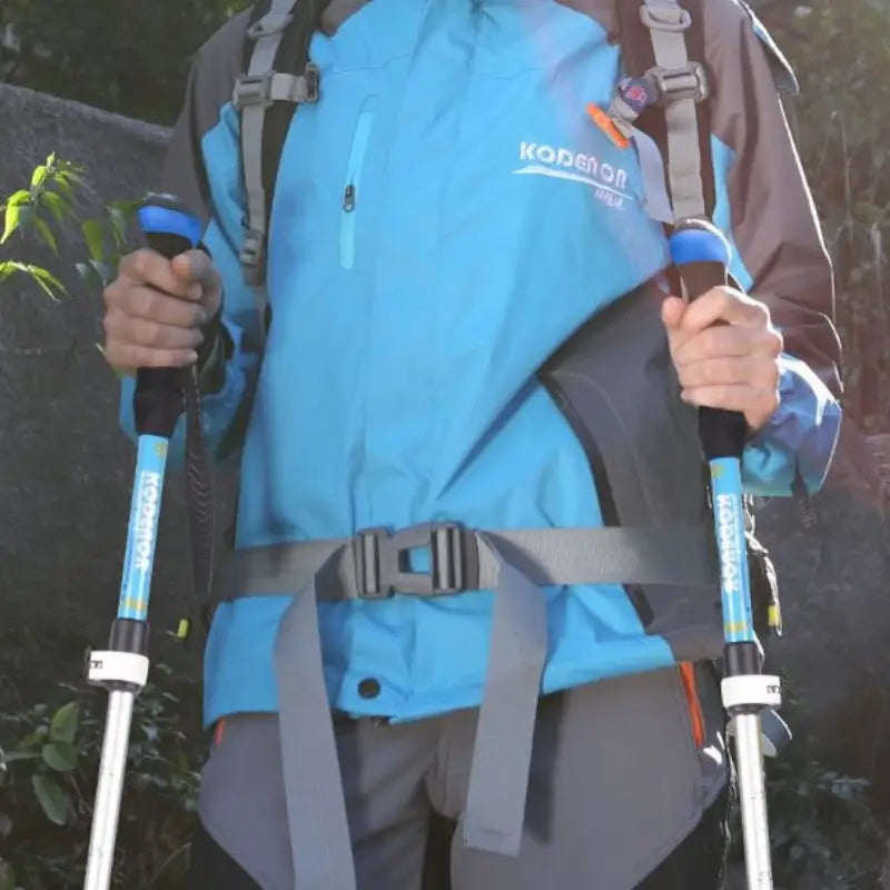 Wanderstock