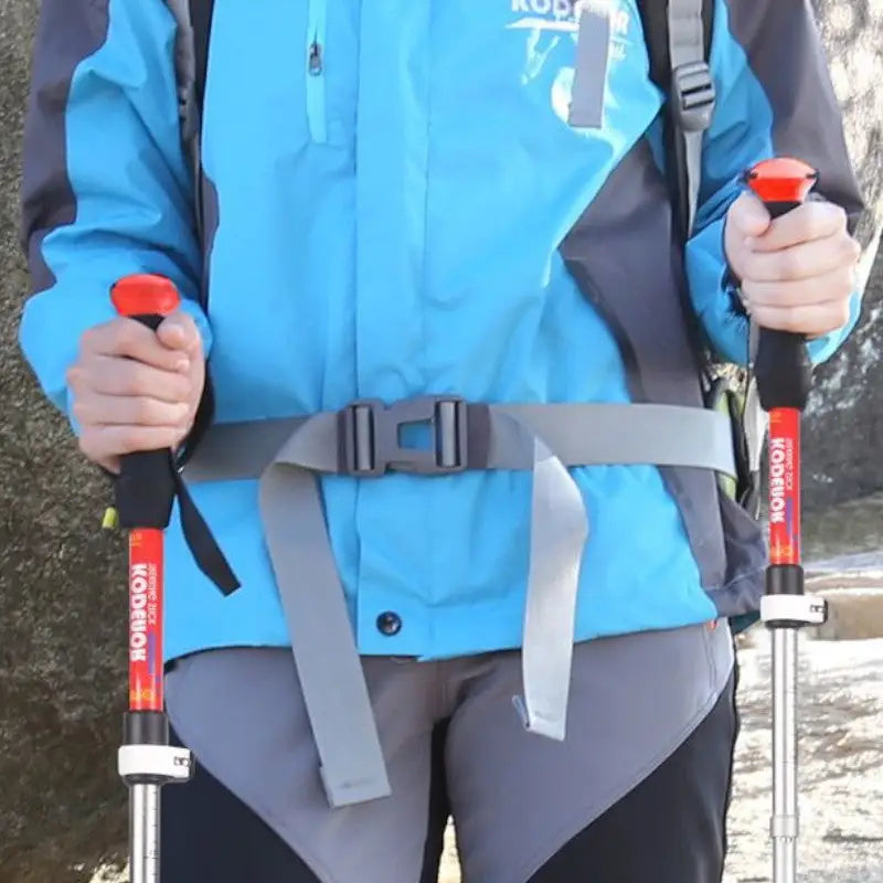 Wanderstock
