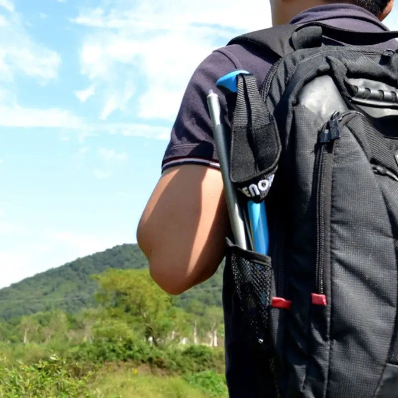Wanderstock