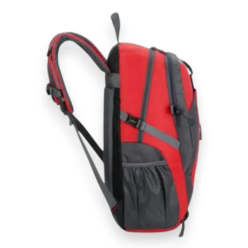 Wanderrucksack 40l - Rückansicht