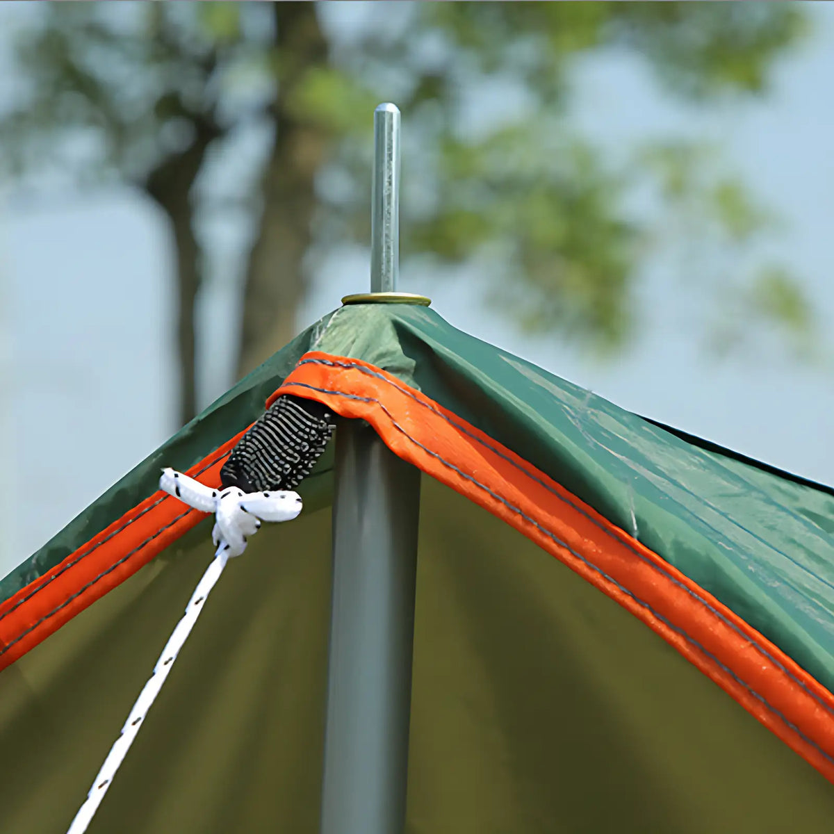 Tarps
