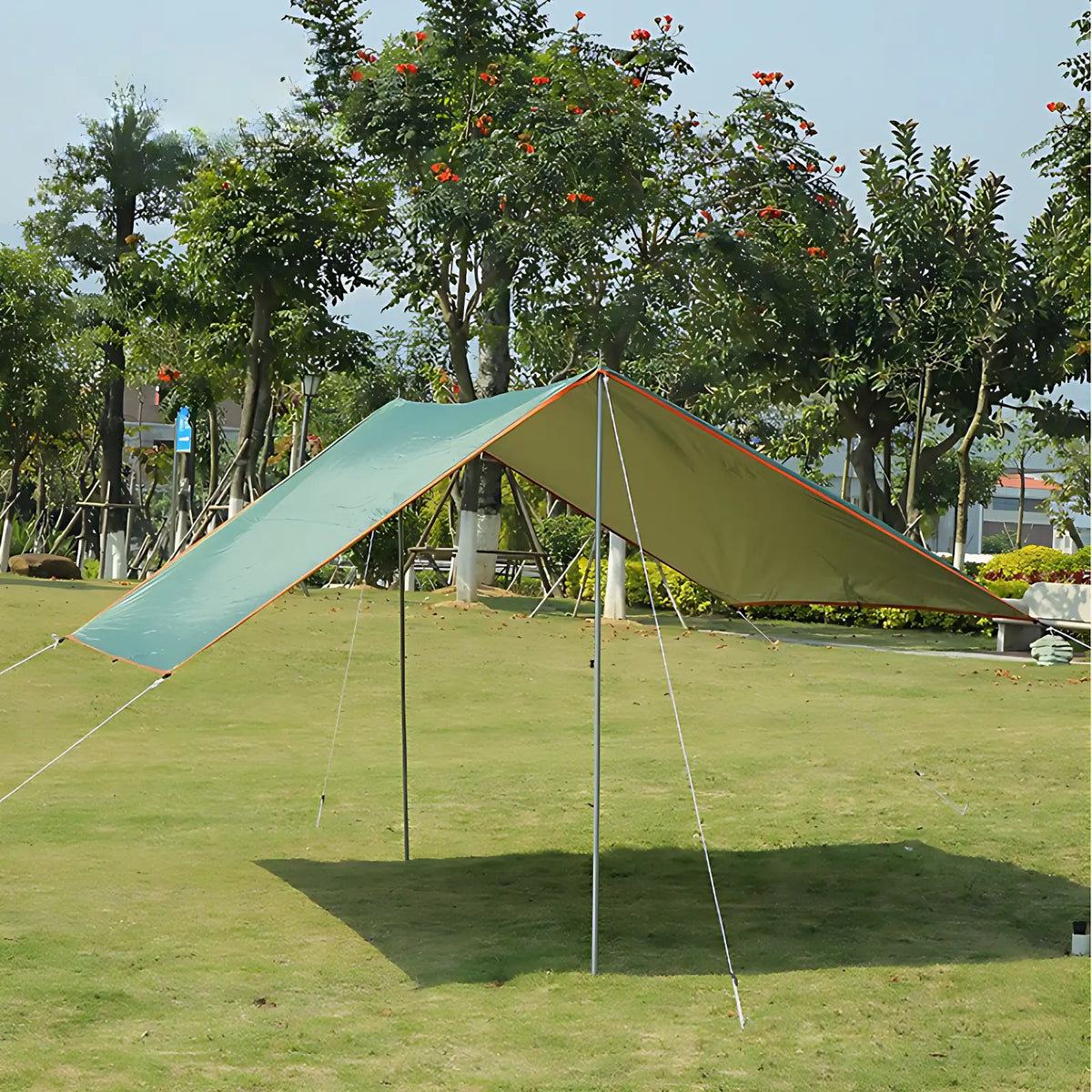 Tarps